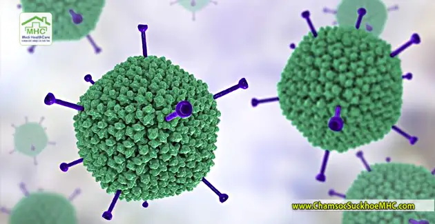 adenovirus la gi cau truc adenovirus