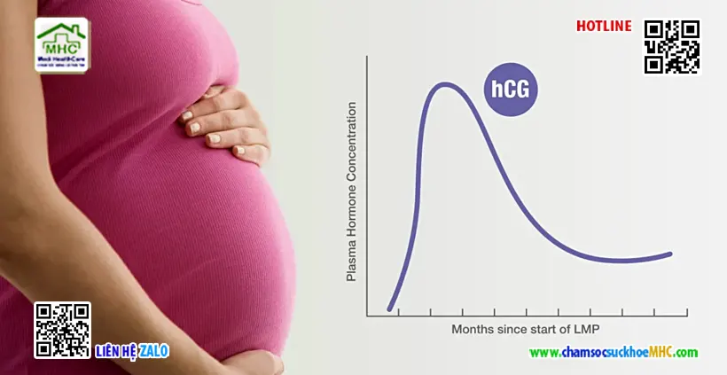 Cách đọc kết quả xét nghiệm beta hCG và những lưu ý quan trọng 1 cách đọc kết quả xét nghiệm beta hCG