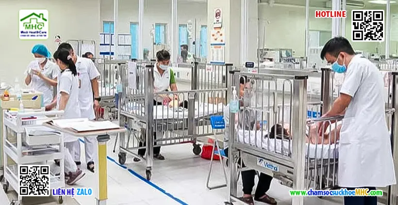 Nhầm lẫn lá hoa thủy tiên và lá hẹ: 2 trẻ ngộ độc 2 Nhầm lẫn lá hoa thủy tiên và lá hẹ: 2 trẻ ngộ độc